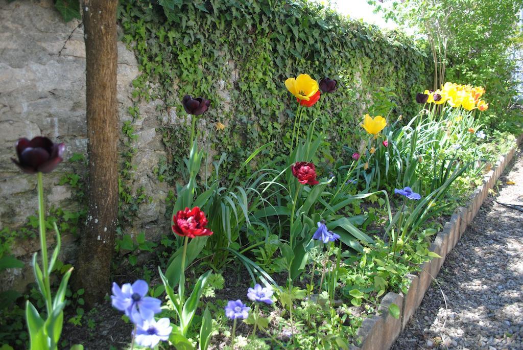 Gites Les Rainettes Vienne-en-Bessin Exterior foto