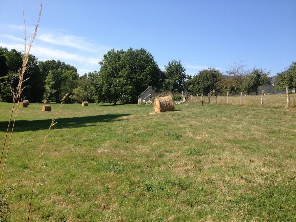 Gites Les Rainettes Vienne-en-Bessin Exterior foto